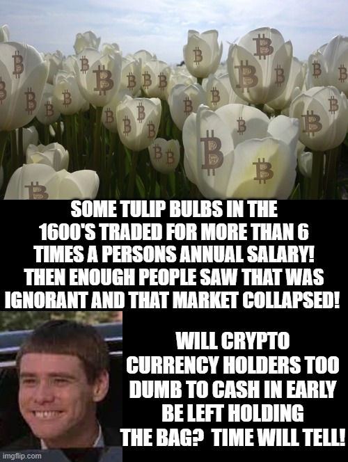 Is Crypto Currency Mania as Ignorant as Tulip Bulb Mania of the 1600's?  Time will tell!! |  SOME TULIP BULBS IN THE 1600'S TRADED FOR MORE THAN 6 TIMES A PERSONS ANNUAL SALARY! THEN ENOUGH PEOPLE SAW THAT WAS IGNORANT AND THAT MARKET COLLAPSED! WILL CRYPTO CURRENCY HOLDERS TOO DUMB TO CASH IN EARLY BE LEFT HOLDING THE BAG?  TIME WILL TELL! | image tagged in dumb and dumber,dumb people,morons,idiots,stupid people,special kind of stupid | made w/ Imgflip meme maker