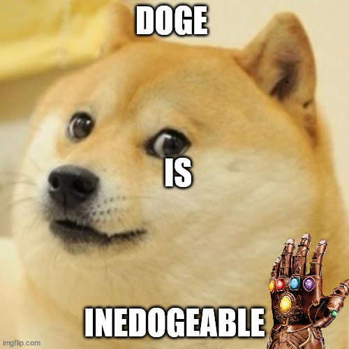 doge | DOGE; IS; INEDOGEABLE | image tagged in wow doge | made w/ Imgflip meme maker