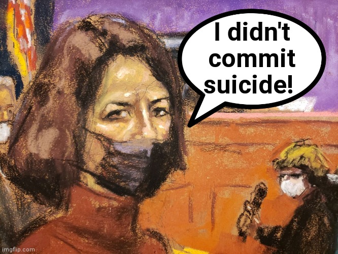 Patsy Maxwell |  I didn't commit suicide! | image tagged in epstein,suicide,fall guys,bill clinton - sexual relations,trump lies | made w/ Imgflip meme maker