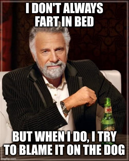 It would be more interesting if he tried to take credit for his dog's farts | I DON'T ALWAYS FART IN BED; BUT WHEN I DO, I TRY
TO BLAME IT ON THE DOG | image tagged in memes,the most interesting man in the world | made w/ Imgflip meme maker