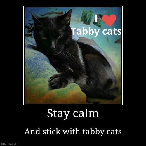 I love Tabby cats | image tagged in demotivationals,cats,cute | made w/ Imgflip demotivational maker