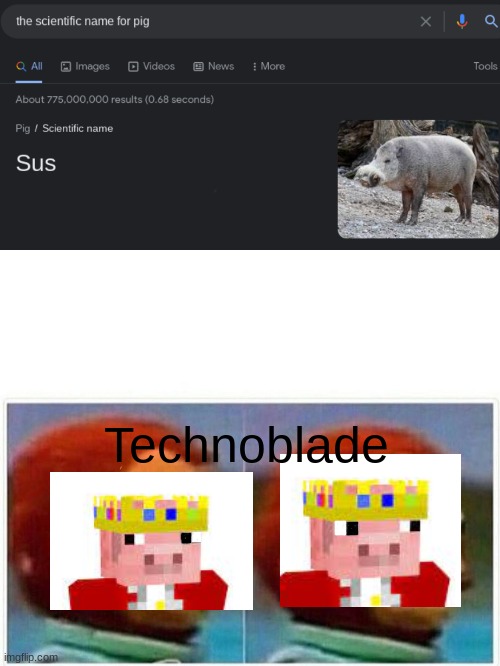 Technoblade | Technoblade | image tagged in memes,monkey puppet,technoblade | made w/ Imgflip meme maker