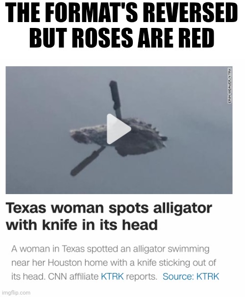 E X C A L I G A T O R | THE FORMAT'S REVERSED
BUT ROSES ARE RED | image tagged in e | made w/ Imgflip meme maker