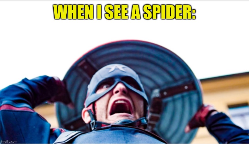 Die you 8 legged cretin | WHEN I SEE A SPIDER: | image tagged in insane us agent,marvel,john walker,the falcon and the winter soldier,spider,mcu | made w/ Imgflip meme maker