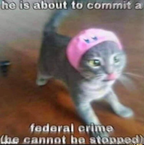 He is about to commit a federal crime (he cannot be stopped) | image tagged in he is about to commit a federal crime he cannot be stopped | made w/ Imgflip meme maker
