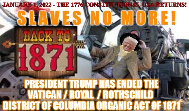 Back to the US Constitution | JANUARY 1, 2022 - THE 1776 CONSTITUTIONAL USA RETURNS! S L A V E S   N O   M O R E ! PRESIDENT TRUMP HAS ENDED THE VATICAN / ROYAL  / ROTHSCHILD  DISTRICT OF COLUMBIA ORGANIC ACT OF 1871 | image tagged in back to the future,trump,us constitution,treasury,nesara | made w/ Imgflip meme maker