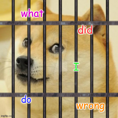 doge jail | what; did; I; do; wrong | image tagged in jail,doge | made w/ Imgflip meme maker