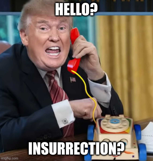 That call was out of order but where is the referee | HELLO? INSURRECTION? | image tagged in i'm the president | made w/ Imgflip meme maker