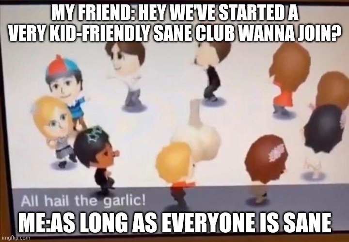 A very sane group of friends | MY FRIEND: HEY WE'VE STARTED A VERY KID-FRIENDLY SANE CLUB WANNA JOIN? ME:AS LONG AS EVERYONE IS SANE | image tagged in all hail the garlic,random | made w/ Imgflip meme maker