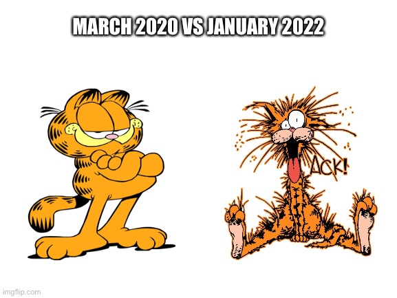 Happy New Year? | MARCH 2020 VS JANUARY 2022 | image tagged in blank white template,garfield,happy new year,stay safe | made w/ Imgflip meme maker