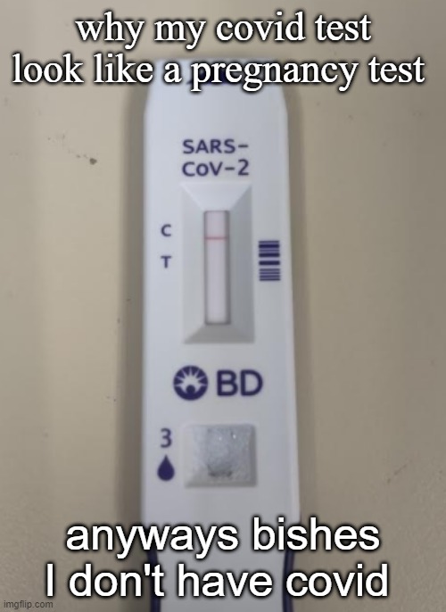 why my covid test look like a pregnancy test; anyways bishes I don't have covid | made w/ Imgflip meme maker