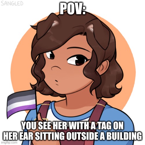 enjoy this pov! | POV:; YOU SEE HER WITH A TAG ON HER EAR SITTING OUTSIDE A BUILDING | made w/ Imgflip meme maker