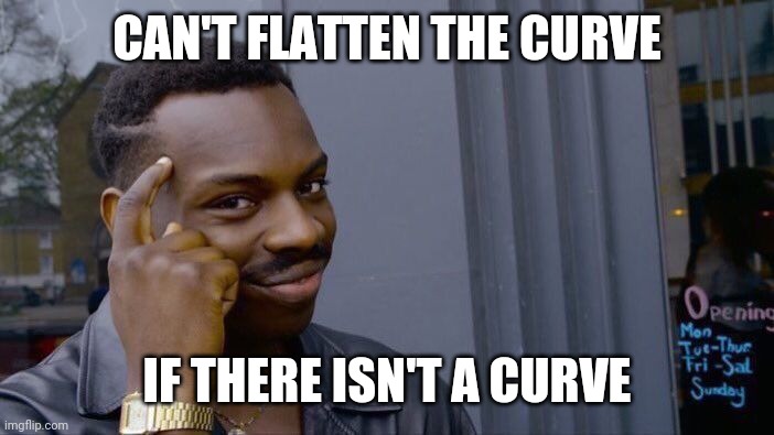 Flattening the curve | CAN'T FLATTEN THE CURVE; IF THERE ISN'T A CURVE | image tagged in memes,roll safe think about it | made w/ Imgflip meme maker