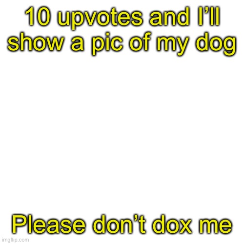 Unrelated but is water wet or dry?? | 10 upvotes and I’ll show a pic of my dog; Please don’t dox me | image tagged in memes,blank transparent square | made w/ Imgflip meme maker