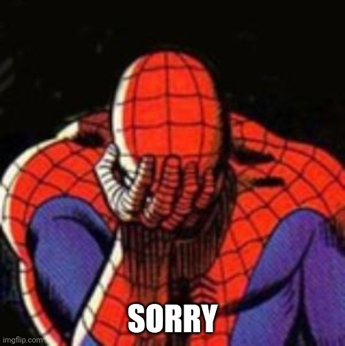 Sad Spiderman Meme | SORRY | image tagged in memes,sad spiderman,spiderman | made w/ Imgflip meme maker