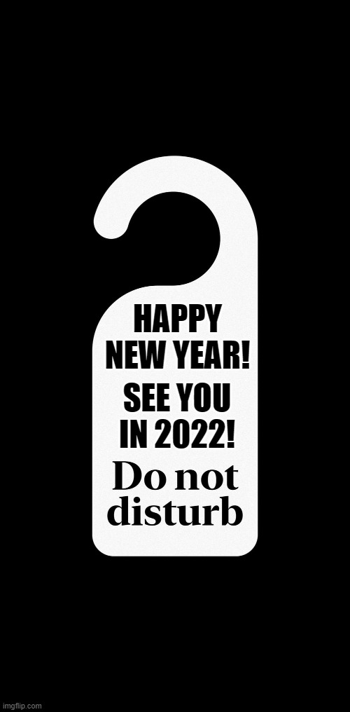 Happy new year do not disturb | SEE YOU IN 2022! HAPPY NEW YEAR! | image tagged in fun,happy new year | made w/ Imgflip meme maker