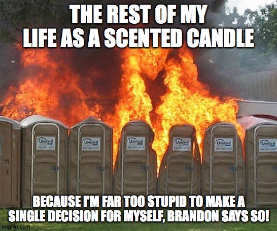 Scented Candle | THE REST OF MY LIFE AS A SCENTED CANDLE; BECAUSE I'M FAR TOO STUPID TO MAKE A SINGLE DECISION FOR MYSELF, BRANDON SAYS SO! | image tagged in scented,candle,toilet,burning,fire,brandon | made w/ Imgflip meme maker