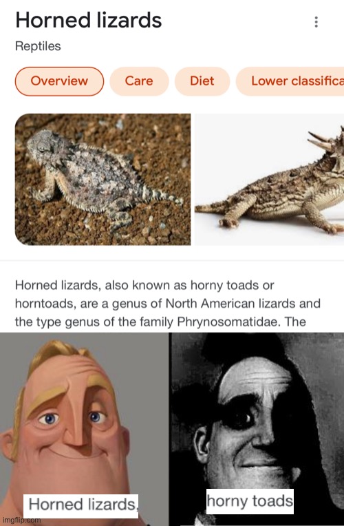 Horny Holocaust | image tagged in traumatized mr incredible | made w/ Imgflip meme maker