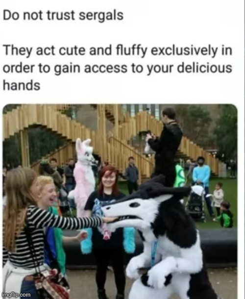 This is a joke  | image tagged in furry,the furry fandom,furry are cool | made w/ Imgflip meme maker