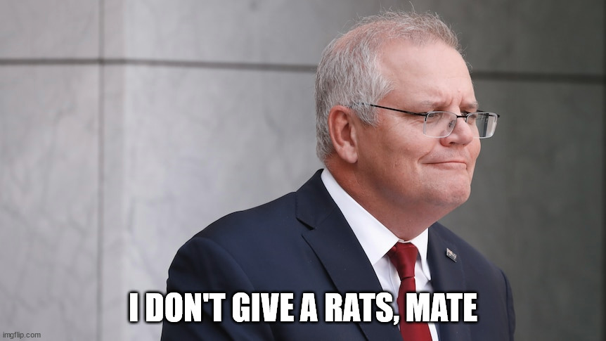 I DON'T GIVE A RATS, MATE | made w/ Imgflip meme maker