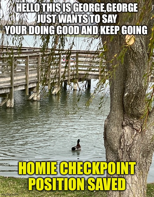 Homie checkpoint | HELLO THIS IS GEORGE,GEORGE JUST WANTS TO SAY YOUR DOING GOOD AND KEEP GOING; HOMIE CHECKPOINT POSITION SAVED | image tagged in wait a second this is wholesome content,duck,cute animals | made w/ Imgflip meme maker
