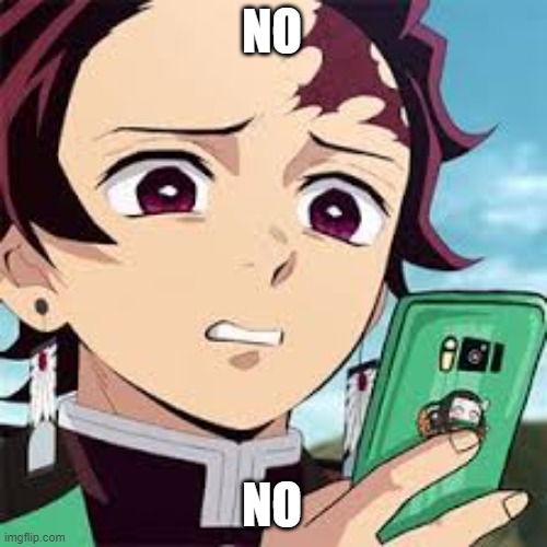 disgusted Tanjiro | NO NO | image tagged in disgusted tanjiro | made w/ Imgflip meme maker
