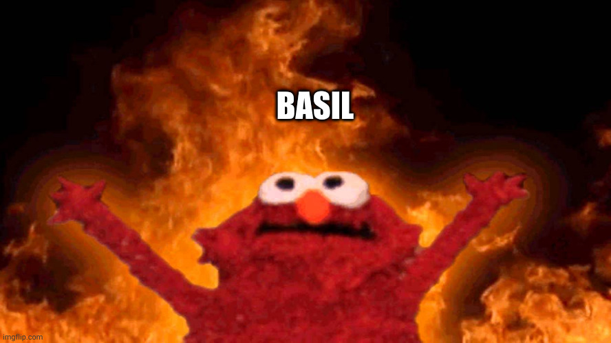 elmo fire | BASIL | image tagged in elmo fire | made w/ Imgflip meme maker