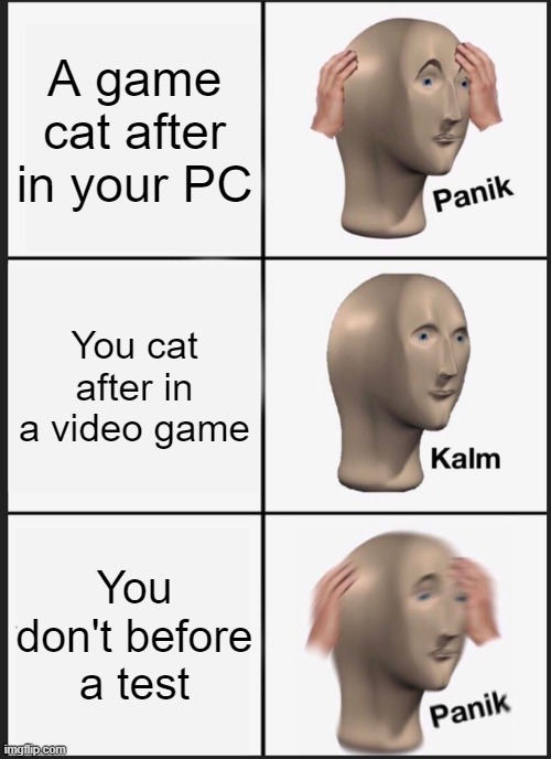 It's video games | A game cat after in your PC; You cat after in a video game; You don't before a test | image tagged in memes,panik kalm panik | made w/ Imgflip meme maker