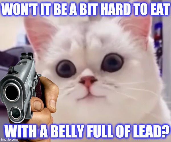 WON'T IT BE A BIT HARD TO EAT WITH A BELLY FULL OF LEAD? | made w/ Imgflip meme maker