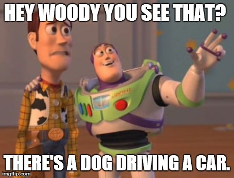 *meme comment* | HEY WOODY YOU SEE THAT?  THERE'S A DOG DRIVING A CAR. | image tagged in memes,x x everywhere | made w/ Imgflip meme maker