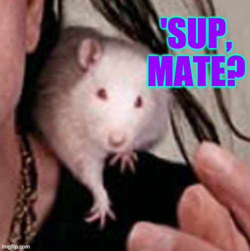 'SUP, MATE? | made w/ Imgflip meme maker