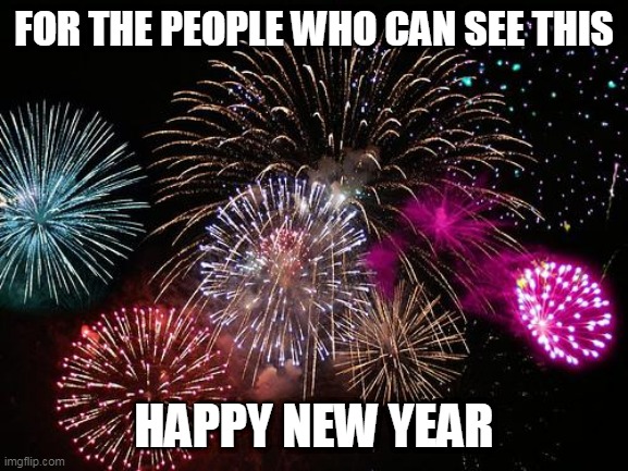 Happy New Year People | FOR THE PEOPLE WHO CAN SEE THIS; HAPPY NEW YEAR | image tagged in new years | made w/ Imgflip meme maker