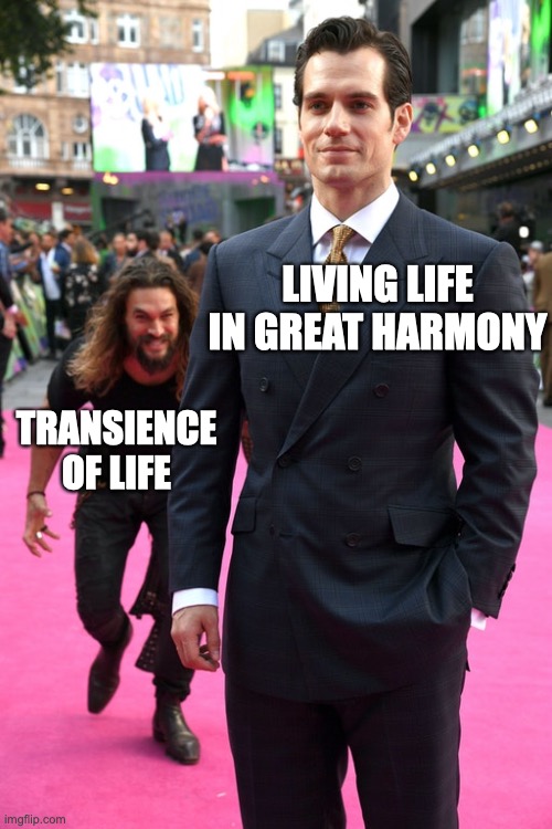 transience | LIVING LIFE IN GREAT HARMONY; TRANSIENCE OF LIFE | image tagged in jason momoa henry cavill meme,death,life,growth,dying,joy | made w/ Imgflip meme maker