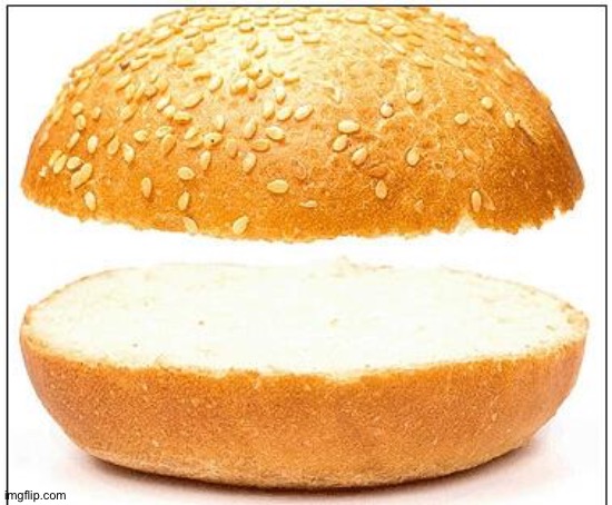 Nothing burger | image tagged in nothing burger | made w/ Imgflip meme maker