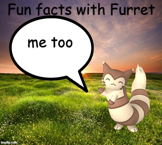 Fun facts with Furret | me too | image tagged in fun facts with furret | made w/ Imgflip meme maker