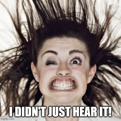 wind face | I DIDN'T JUST HEAR IT! | image tagged in wind face | made w/ Imgflip meme maker