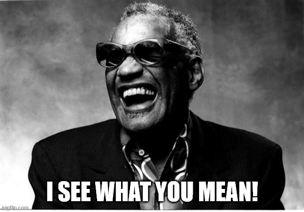 Ray Charles | I SEE WHAT YOU MEAN! | image tagged in ray charles | made w/ Imgflip meme maker