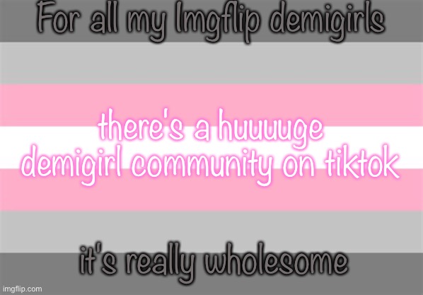 Demigirl flag | For all my Imgflip demigirls; there's a huuuuge demigirl community on tiktok; it's really wholesome | image tagged in demigirl flag | made w/ Imgflip meme maker