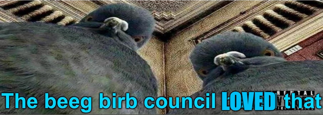 The beeg birb council hated that | LOVED | image tagged in the beeg birb council hated that | made w/ Imgflip meme maker