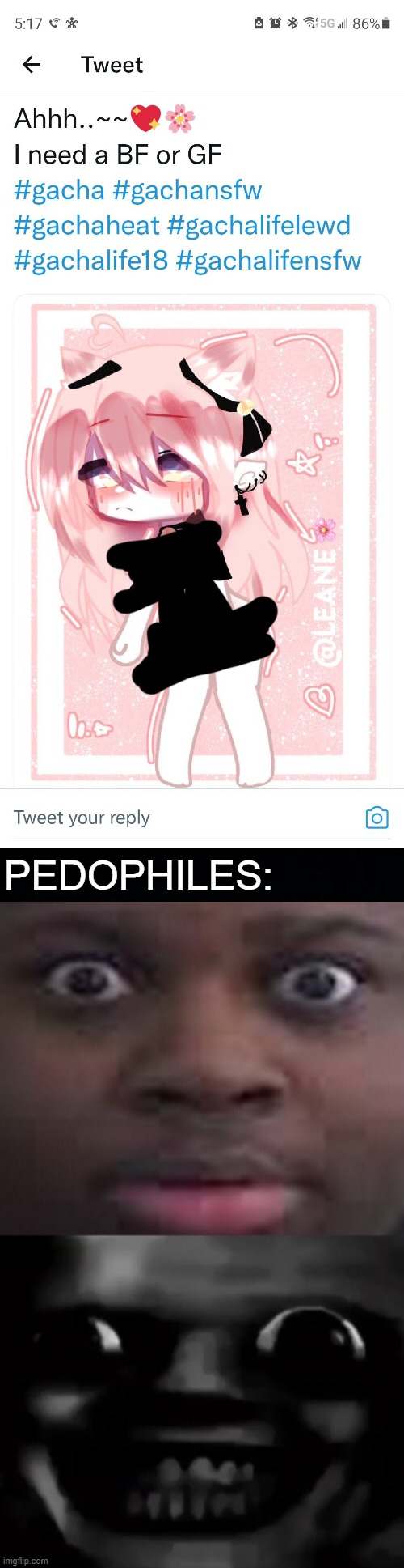  PEDOPHILES: | image tagged in creepy edp445,memes | made w/ Imgflip meme maker