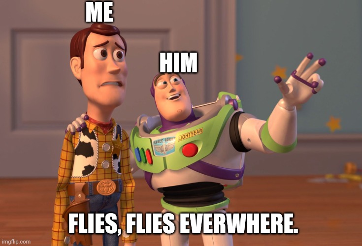 When my friend keeps talking about flies for some weird reason | ME; HIM; FLIES, FLIES EVERWHERE. | image tagged in memes,x x everywhere | made w/ Imgflip meme maker