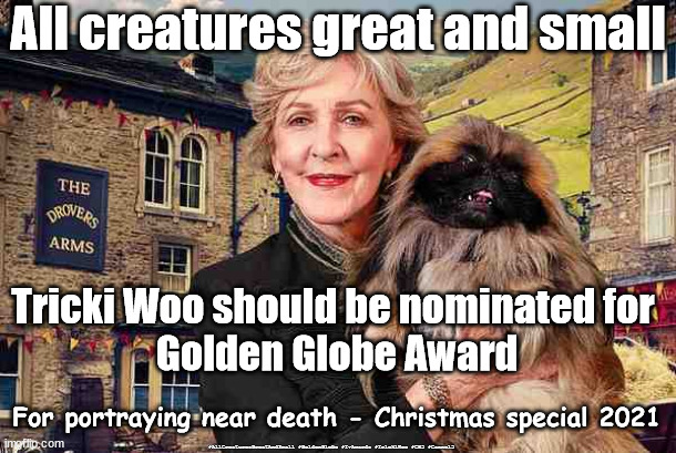 Tricki Woo - Golden Globe Award | All creatures great and small; Tricki Woo should be nominated for 
Golden Globe Award; For portraying near death - Christmas special 2021; #AllCreaturesGreatAndSmall #GoldenGlobe #TvAwards #TrickiWoo #CH5 #Cannel5 | image tagged in ch5,channel5,tvawards,goldenglobe,trickiwoo | made w/ Imgflip meme maker