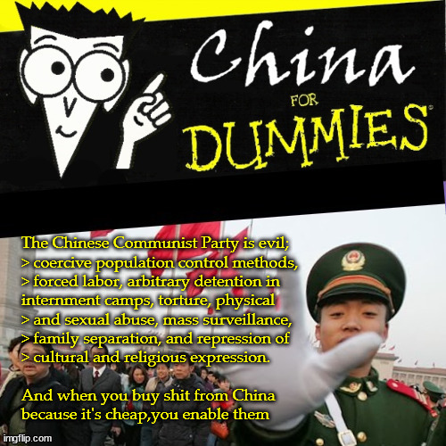 China for Dummies | image tagged in chinese communist party | made w/ Imgflip meme maker