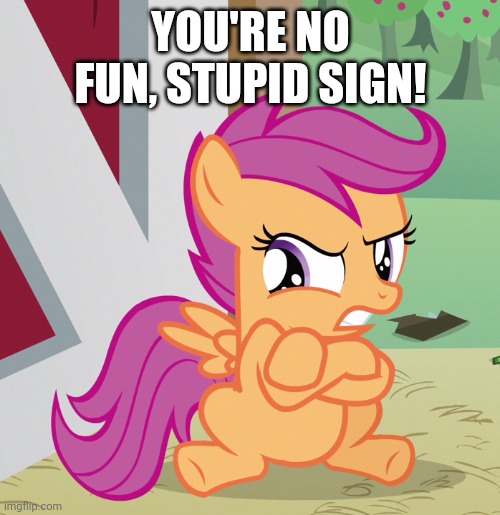 Angry Scootaloo (MLP) | YOU'RE NO FUN, STUPID SIGN! | image tagged in angry scootaloo mlp | made w/ Imgflip meme maker