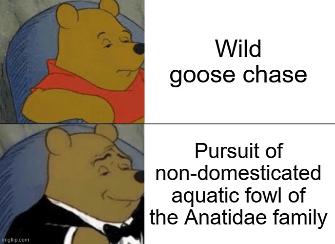 Tuxedo Winnie The Pooh Meme | Wild goose chase Pursuit of non-domesticated aquatic fowl of the Anatidae family | image tagged in memes,tuxedo winnie the pooh | made w/ Imgflip meme maker