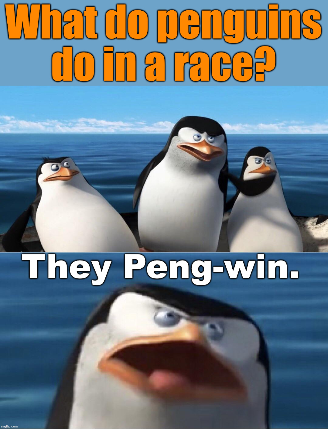 Wouldn't that make you | What do penguins do in a race? They Peng-win. | image tagged in wouldn't that make you,eye roll | made w/ Imgflip meme maker