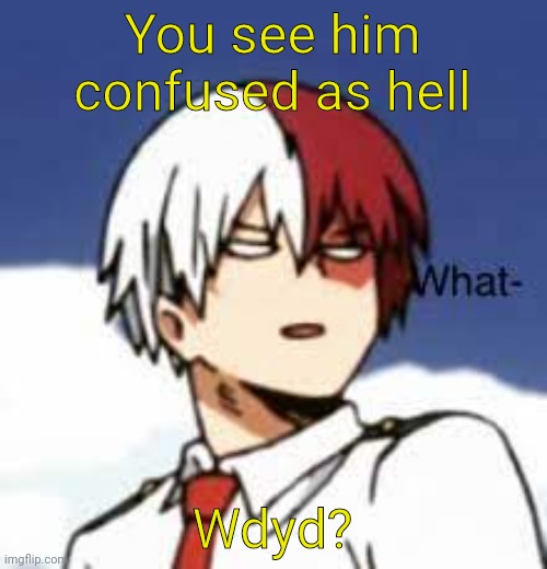 Todoroki Shoto | You see him confused as hell; Wdyd? | image tagged in todoroki what | made w/ Imgflip meme maker