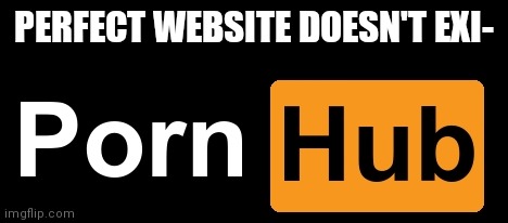 PERFECT WEBSITE DOESN'T EXI- | made w/ Imgflip meme maker