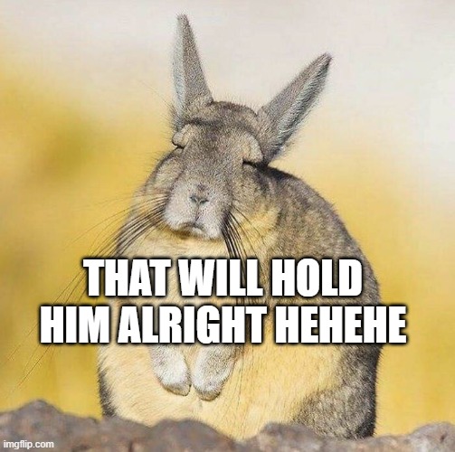 THAT WILL HOLD HIM ALRIGHT HEHEHE | image tagged in memes | made w/ Imgflip meme maker