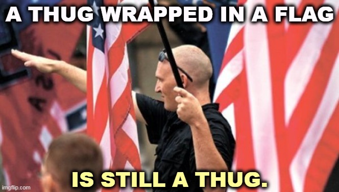 Don't kid yourself. This is not patriotism. | A THUG WRAPPED IN A FLAG; IS STILL A THUG. | image tagged in conservative,right wing,terrorism,neo-nazis | made w/ Imgflip meme maker